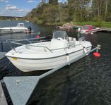 Ryds 485 DLI