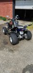 Raptor 700 vägreg