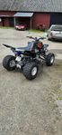 Raptor 700 vägreg