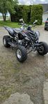 Raptor 700 vägreg