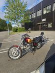 Virago 750