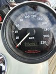 Harley Davidson Sportster XL 883/1200 CC Pearl.