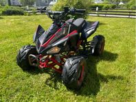 Viarelli Agrezza 90 CC ATV Barn 