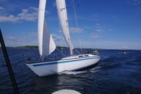 WASA 55 Gersimi