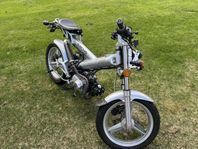 SACHS MADASS