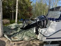 Ryds 520 GTX Bowraider