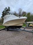 Quicksilver 610