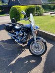 Wildstar XV1600