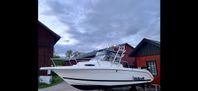 Wellcraft coastal 220 WA 225hk