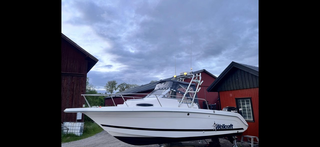Wellcraft coastal 220 WA 225hk