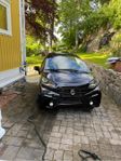 Casalini M20 2019