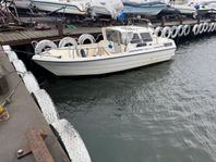 Bella 800 delphin