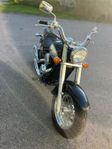 Kawasaki Vn 800