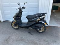Viarelli RS50 2022