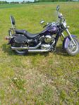Kawasaki vn800 classic