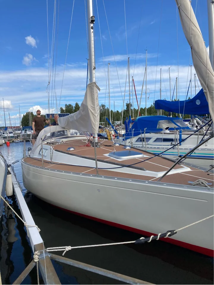 Albin scampi 30 image