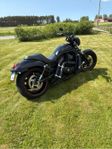 Harley Night Rod Special 2007