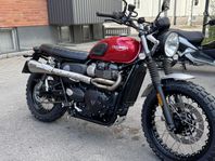 Triumph street scrambler