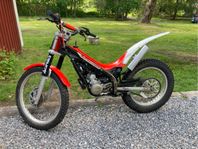 Trial Beta 80 cc
