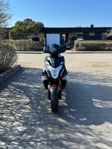 Viarelli rivetto 2017
