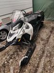 Lynx 49 Ranger