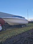 Sea Ray 220 ov