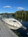 Chaparral 276 Signature