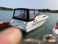 Sea ray 300 