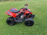 Can-Am DS 90