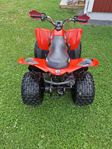 Can-Am DS 90
