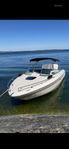 SeaRay 220 sun sport 2010
