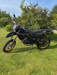 Reiju Drac Nightrider 2022