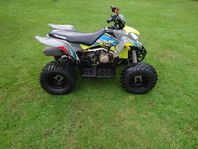 Polaris 110 EFI outlaw