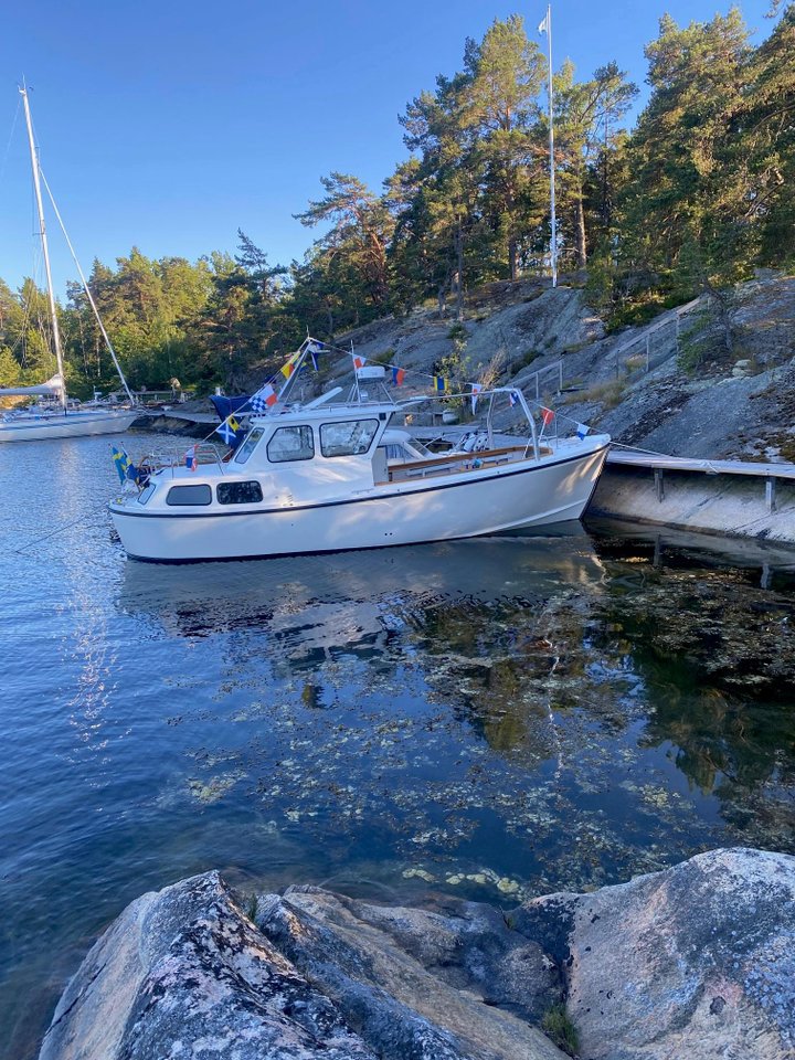 Rospigg 28 Transport "långa ...