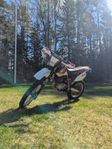 Yamaha TT600r