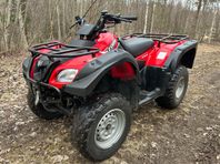 Suzuki Quadrunner 250