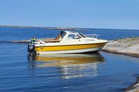 Flipper 620 med Yamaha 100 hk 2016