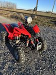 Hi Bird / Bashan / Polaris 200 cc 4 hjuling