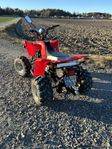 Hi Bird / Bashan / Polaris 200 cc 4 hjuling