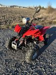 Hi Bird / Bashan / Polaris 200 cc 4 hjuling