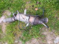 Rensat DPF Amarok 2.0 140hk