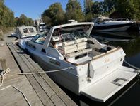 Searay 300 sundancer 2xDiesel