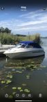 Ryds 550 DC