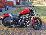 Harley Davidson 883XL Sportster 