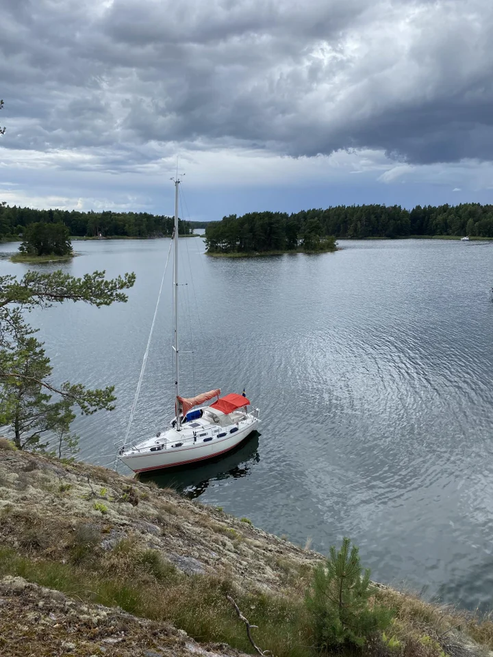 Albin Delta image