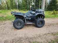 Goes 520cc black edition