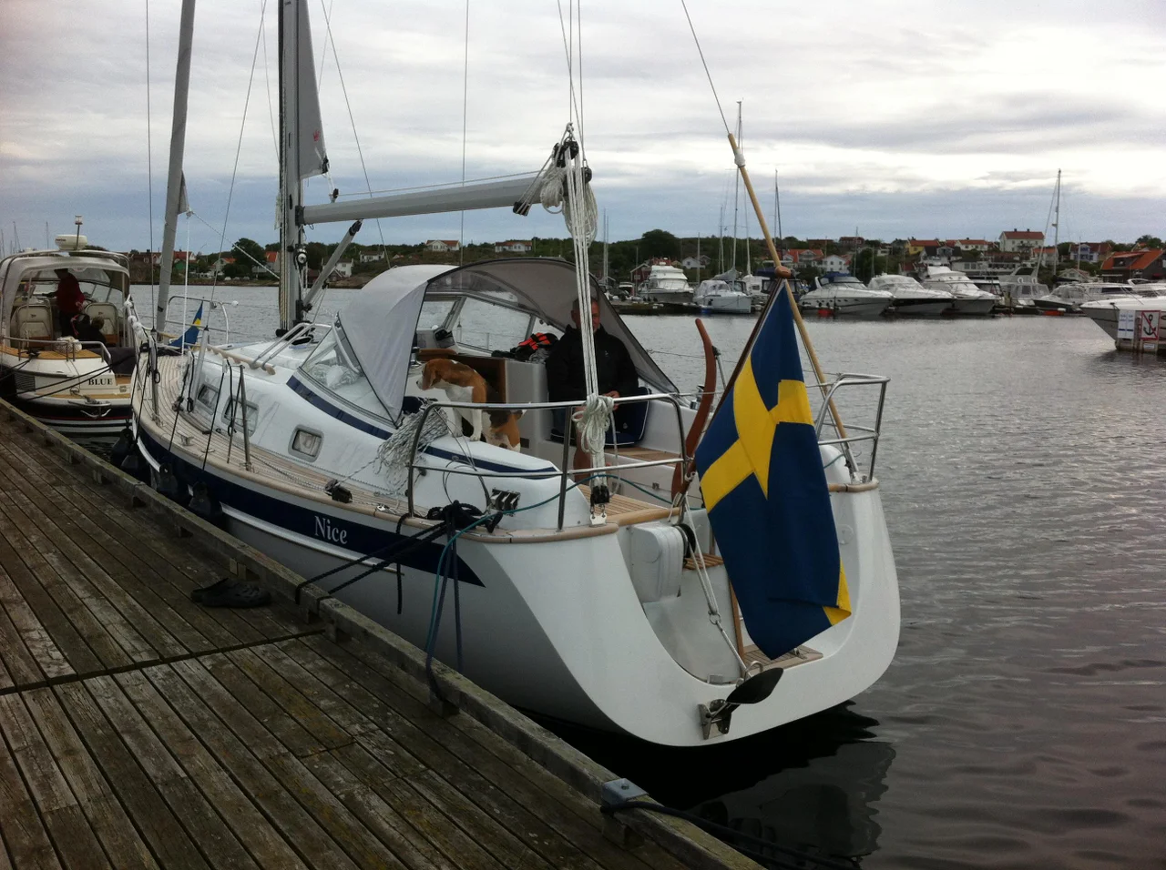 HALLBERG RASSY 310 - 2015 image