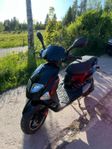 PGO T-Rex 50 2T