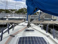 Conqubin 38 1982, motor Vetus M3-28 2012