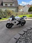 Äkta screamer! Daytona 650